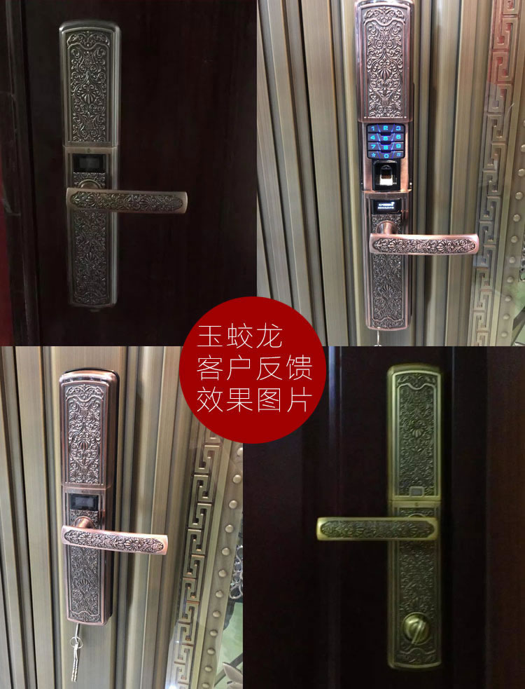 玉蛟龍智能門(mén)鎖 智能鎖防窺視輸入、半導(dǎo)體/光學(xué)指紋傳感器