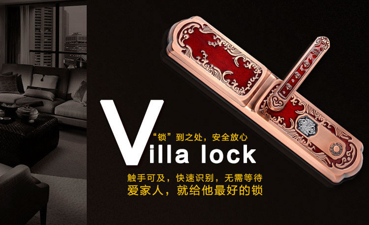 玉蛟龍智能門鎖 智能鎖防窺視輸入、半導(dǎo)體/光學(xué)指紋傳感器