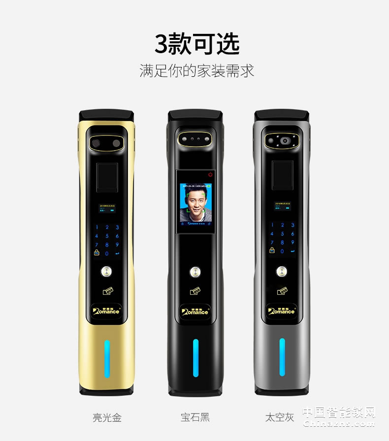 羅曼斯人臉識別智能鎖DD4 全自動智能鎖家用防盜門指紋鎖