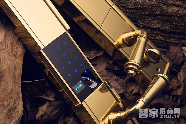 艾棲防盜銅門(mén)鎖 純銅手工制 德國(guó)進(jìn)口電子門(mén)鎖