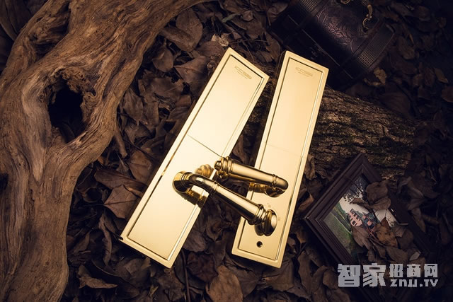 艾棲防盜銅門(mén)鎖 純銅手工制 德國(guó)進(jìn)口電子門(mén)鎖