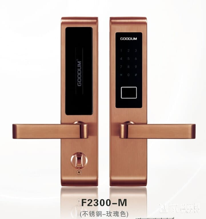 日日紅智能觸摸密碼鎖 家用電子感應(yīng)智能鎖