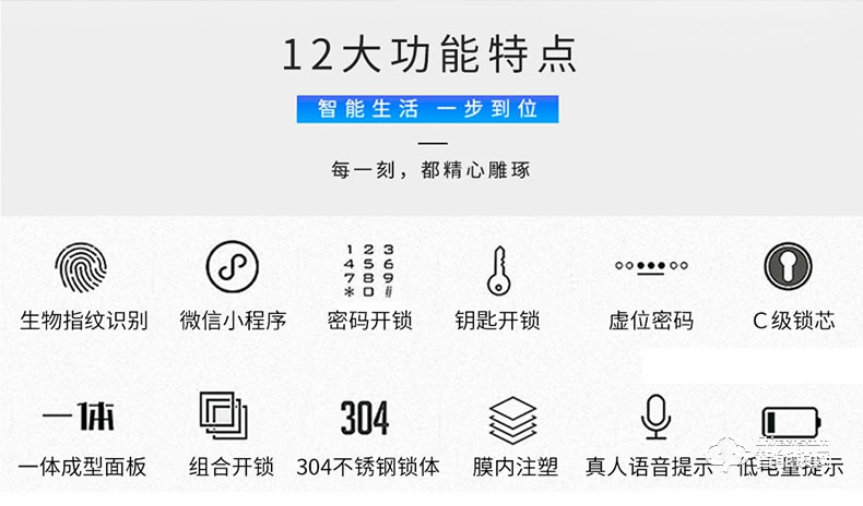 朗菲智能鎖 全自動(dòng)推拉式智能貓眼鎖