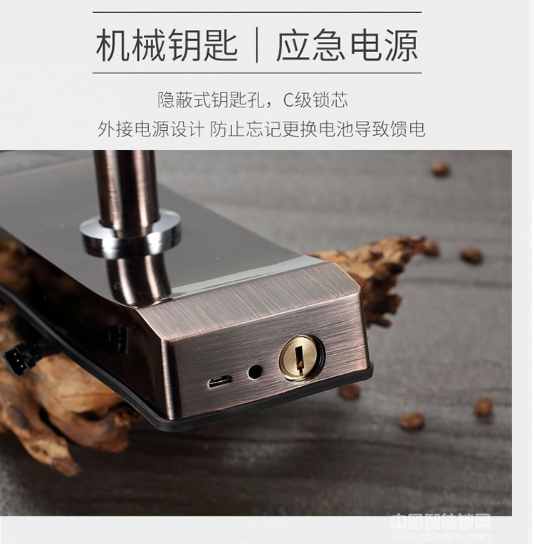 云領(lǐng)人臉識(shí)別智能鎖 公寓防盜門智能鎖