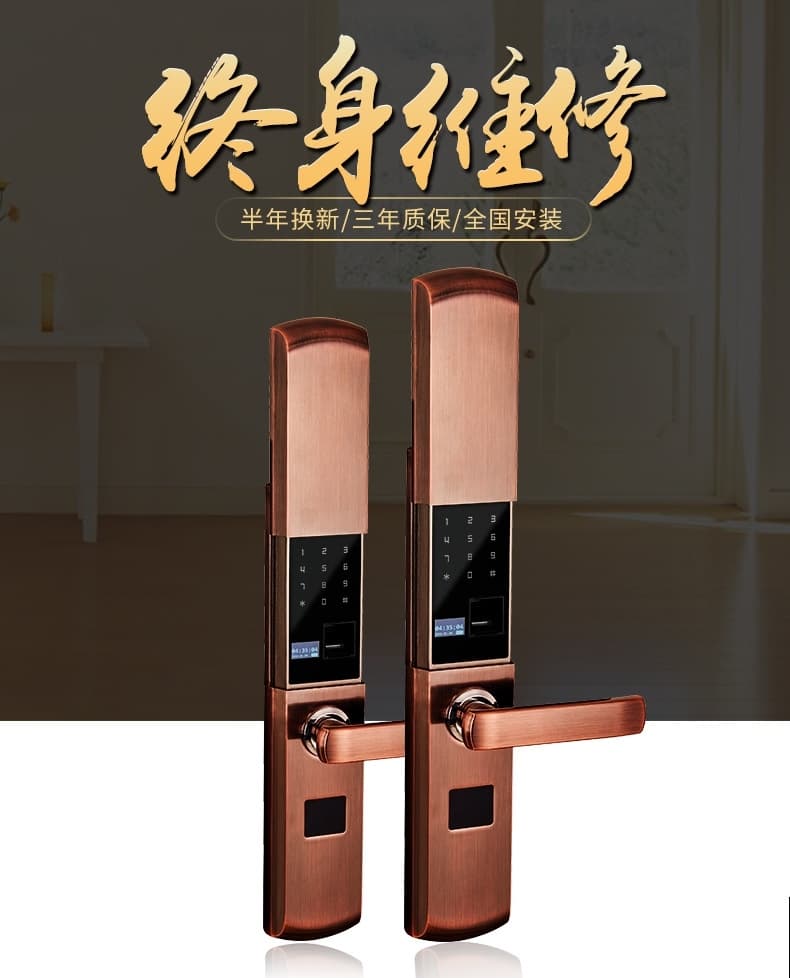 帥榮智能鎖 公寓全自動(dòng)指紋鎖 家居防盜門鎖