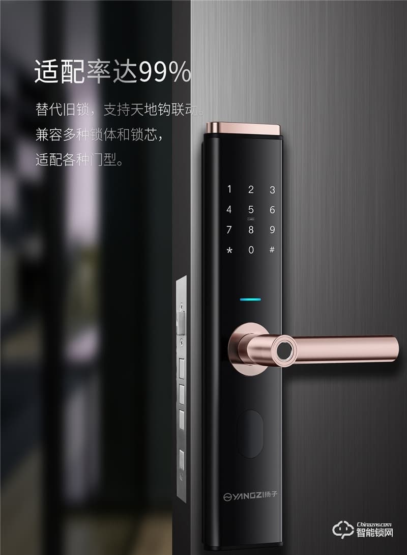 揚(yáng)子智能鎖 S8家用半自動(dòng)智能鎖