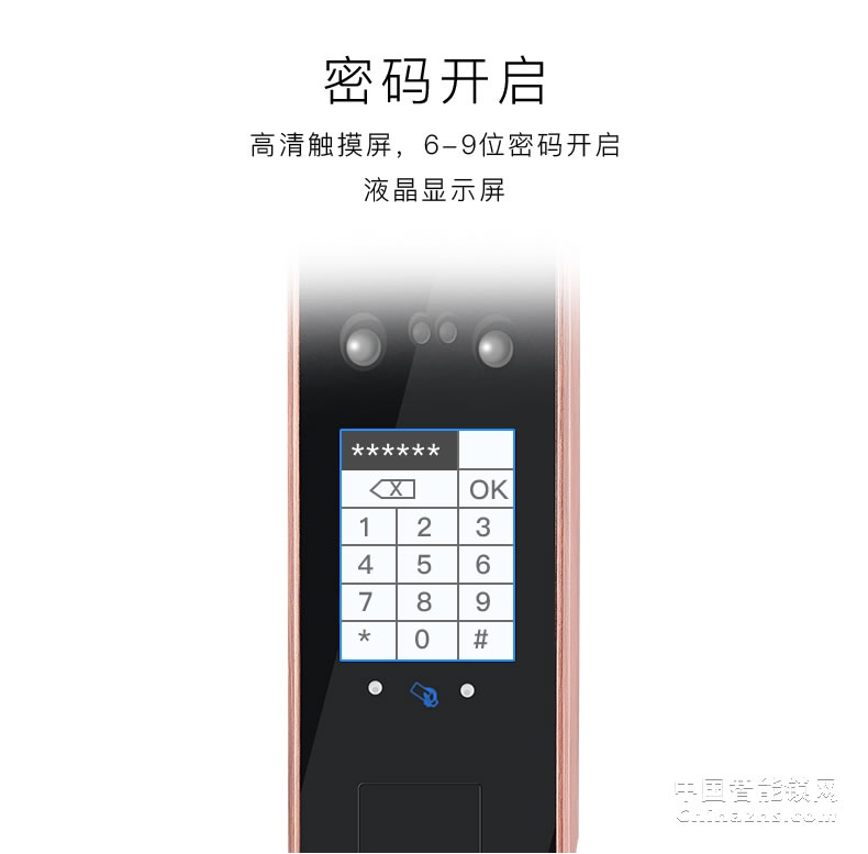 因碩人臉識別鎖 全自動指紋鎖 刷臉智能門鎖