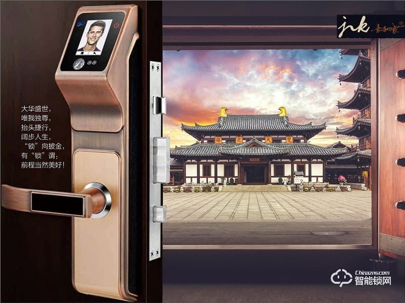 嘉立康智能鎖 人臉識別智能鎖 家用防盜門鎖