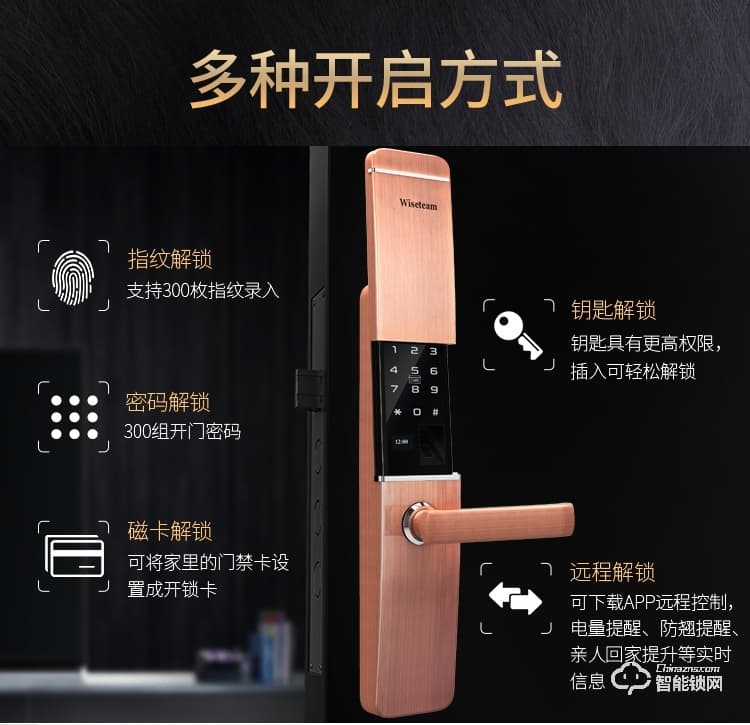 威士迪智能鎖 家用防盜門半導(dǎo)體密碼鎖