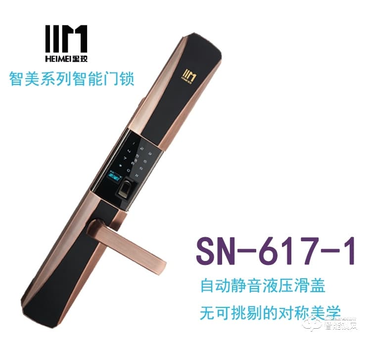 黑玫智能鎖 SN-617家用防盜智能鎖感應卡鎖