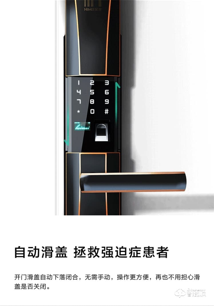 黑玫智能鎖 SN-617家用防盜智能鎖感應卡鎖