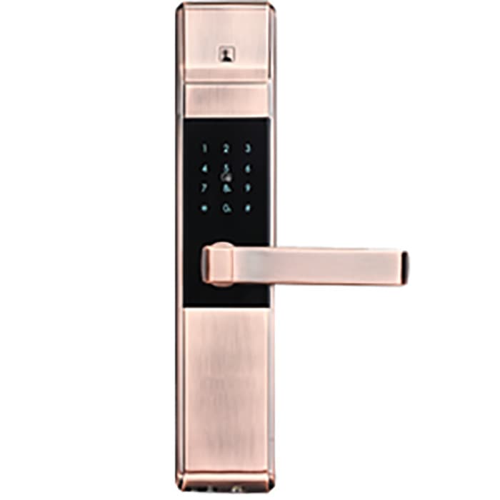 聯(lián)合指紋鎖 5005指紋鎖智能電子門鎖