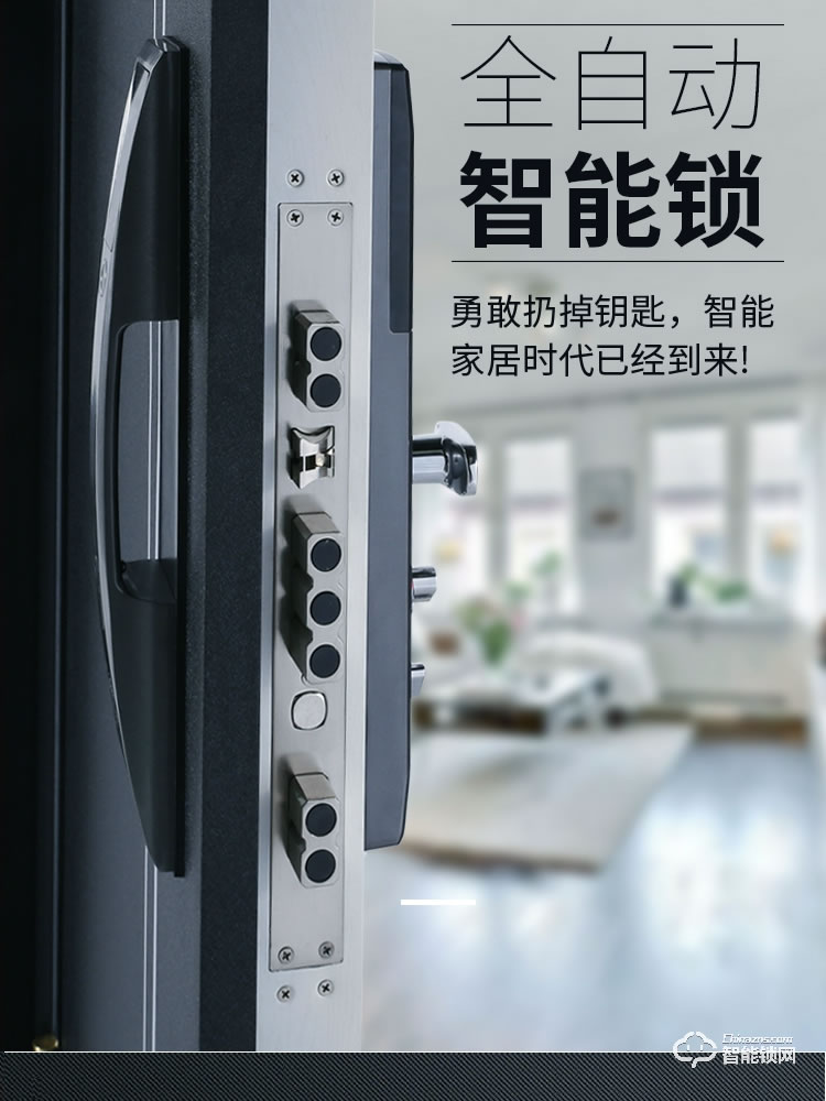 是德利智能鎖 迪奧甲級防盜門家用進(jìn)戶門子母門