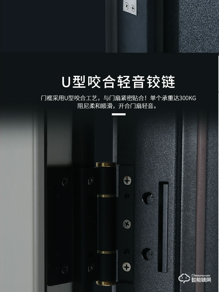 是德利智能鎖 迪奧甲級防盜門家用進(jìn)戶門子母門