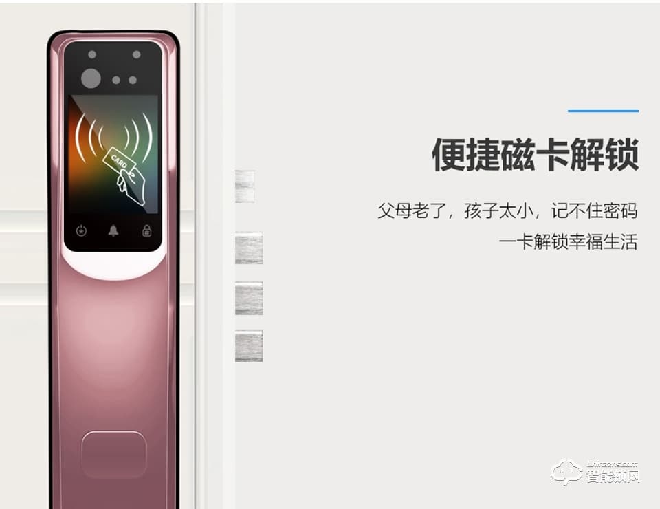 鐵獅東尼智能鎖 T9C一體式全自動(dòng)人臉智能鎖