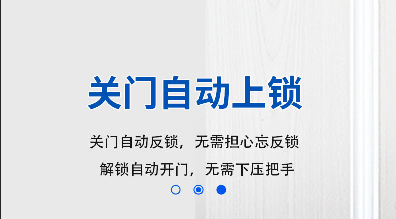 麥爾思智能鎖 R8人臉識(shí)別全自動(dòng)智能指紋鎖