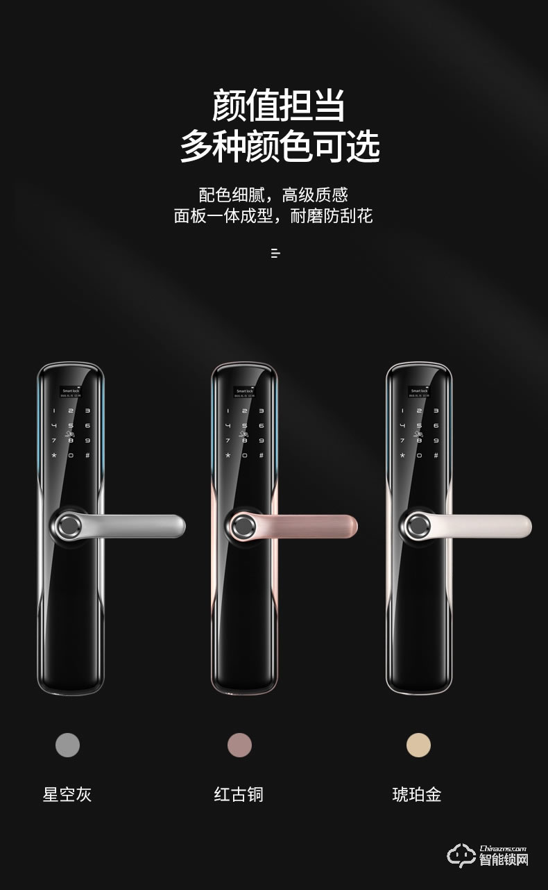 卡內(nèi)締智能鎖  R15家用防盜門智能鎖