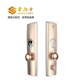 豪力士指紋鎖 D0755F家用防盜門智能鎖手機app感應(yīng)電子鎖遙控刷卡密碼鎖