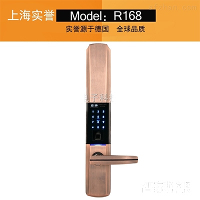 實譽(yù)指紋鎖 室外電子防盜門鎖 智能半導(dǎo)體鎖