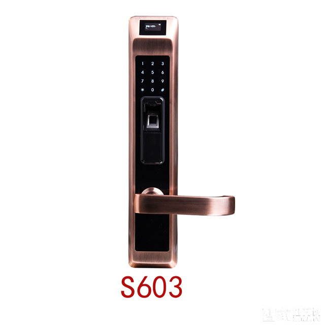沁居智能指紋密碼鎖 多重開鎖方式 低電壓報警S603