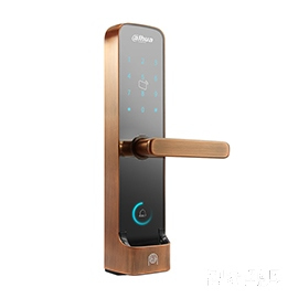 大華樂橙密碼指紋鎖 家用防盜電子鎖