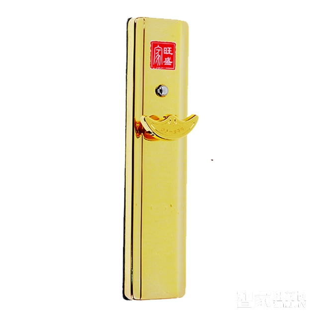 家旺盛無(wú)孔遙控門(mén)鎖 不銹鋼電子智能鎖