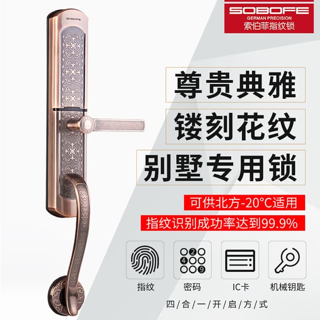 索伯菲智能鎖 810奢華歐式復(fù)古別墅雙開門鎖