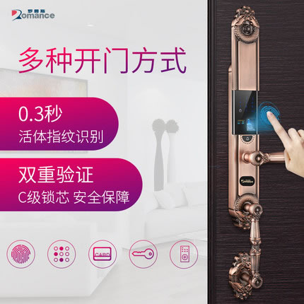 羅曼斯全自動(dòng)智能鎖DD2 家用防盜門指紋鎖密碼電子入戶門鎖