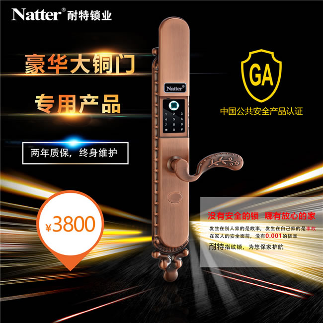 耐特豪華大銅門(mén)指紋鎖 安全防盜N5