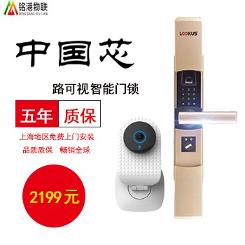 銘港物聯(lián)智能鎖 經(jīng)濟(jì)版智能指紋密碼門鎖套餐
