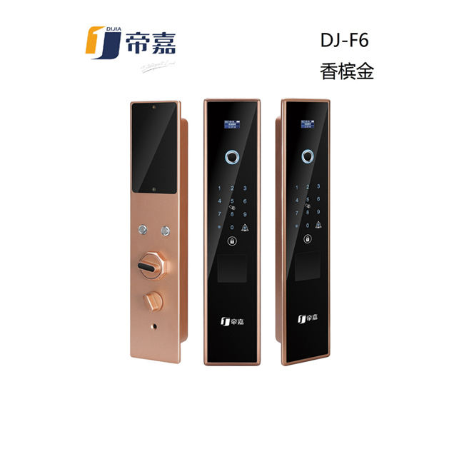 帝嘉智能鎖 全自動(dòng)系列DJ-F6香檳金指紋密碼鎖