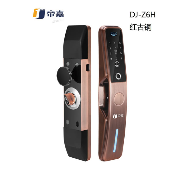 帝嘉智能鎖 全自動(dòng)系列DJ-Z6H紅古銅指紋密碼鎖