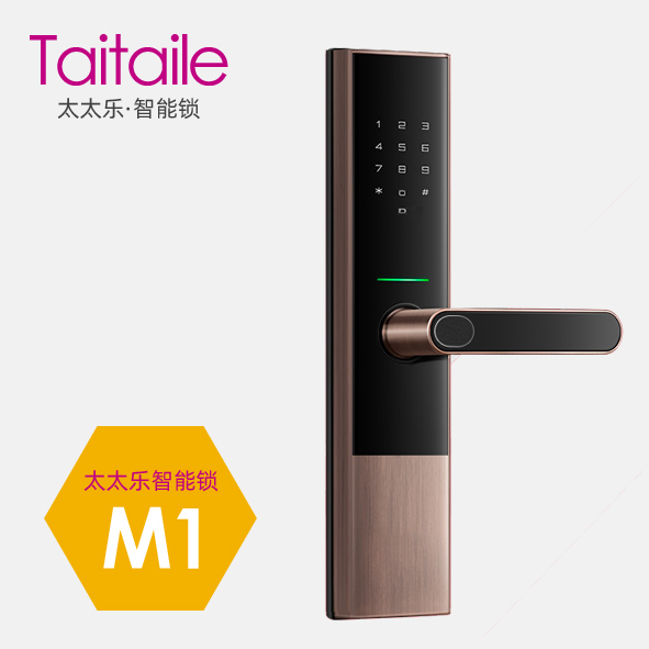 太太樂(lè)智能鎖 M1時(shí)尚直板密碼指紋鎖