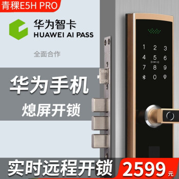 青稞智能鎖 E5H Pro家用電子防盜WIFI遠(yuǎn)程智能鎖