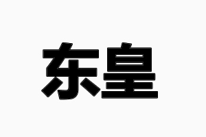 東皇智能