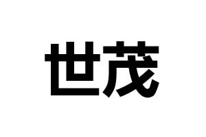 世茂智能鎖