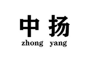 中揚(yáng)智能鎖
