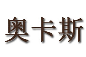 奧卡斯智能鎖