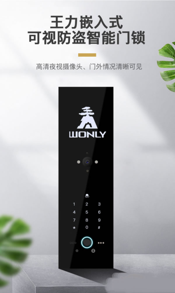 王力智能門鎖多渠道聚力爆發(fā)，銷量領(lǐng)跑行業(yè)
