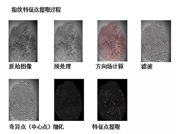 解析：半導體式指紋鎖開鎖原理和過程