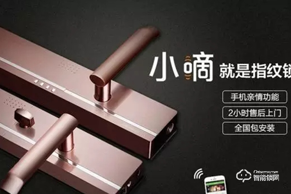 德施曼是哪國(guó)品牌