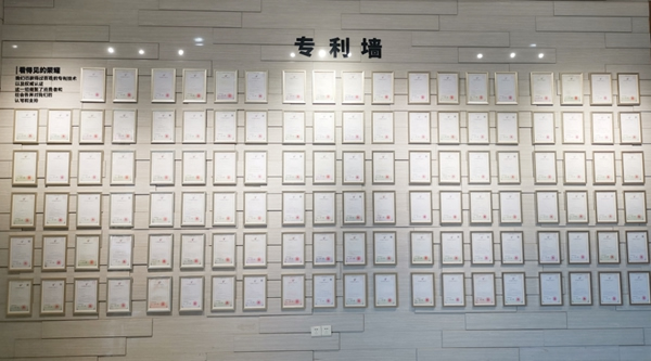 BSPH智能家居以最可貴的品質(zhì)伴您同行 為您保駕護(hù)航