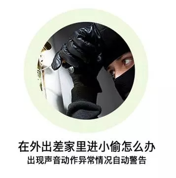 看家看娃看老人 2016最好用的德犬智能攝像頭！