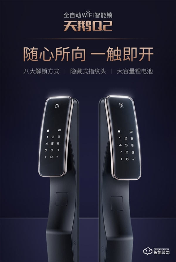 智能門(mén)鎖哪個(gè)品牌好？德施曼全自動(dòng)智能鎖天鵝Q2怎么樣？深入測(cè)評(píng)