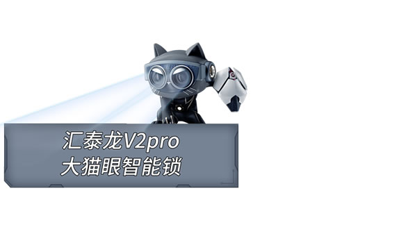 結(jié)婚領(lǐng)智能鎖丨2024年第三屆“鎖定終身，緣于1996”