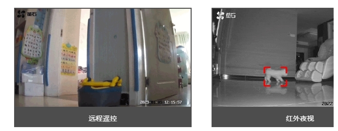 這一篇帶你快速了解螢寶RK2！