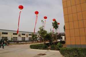 2017山東木材流通協(xié)會(huì)