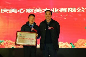 2017重慶木門協(xié)會(huì)十周年