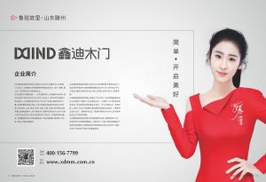 中國(guó)木門十大品牌-鑫迪木門