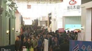 展館欣賞